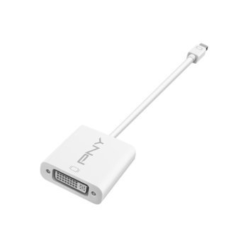 PNY MDP Adapter mini DisplayPort to DVI Adapter