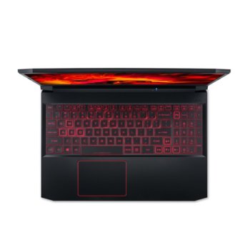 Acer Nitro 5 AN515-55