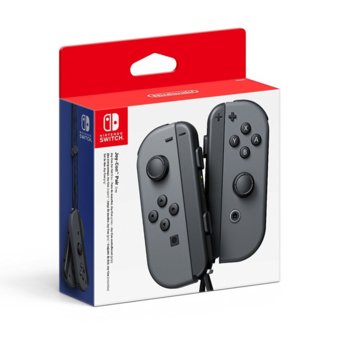 Nintendo Switch Joy-Con Gray