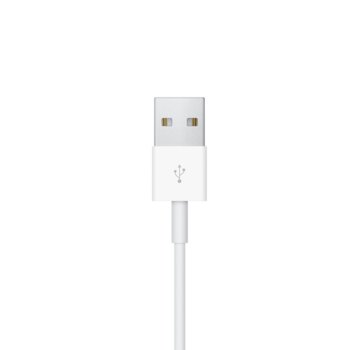 Apple Magnetic Charging Cable (0.3m)