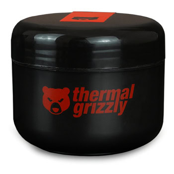 Thermal Grizzly Putty Advanced - 100g TG-P-A-100-R