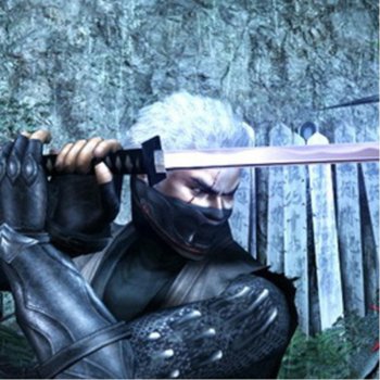 Tenchu 4: Shadow Assassins