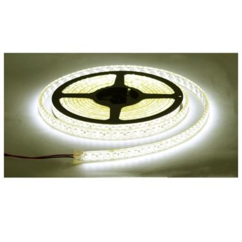 LED лента Privileg SWP5600B-WW-2900K, 9.6W/m, DC 12V, 120LED/m | JAR Computers LED лента Privileg SWP5600B
