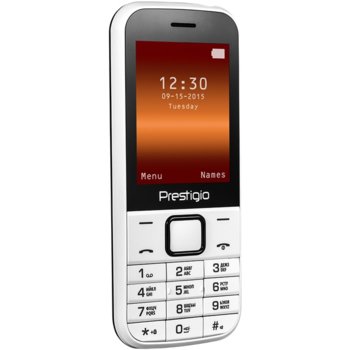 Prestigio Wize G1