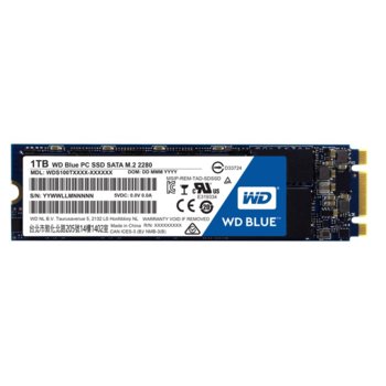 1TB SSD WD Blue PC WDS100T1B0B
