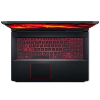 Acer Nitro 5 AN515-55