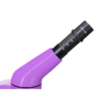 Levenhuk Rainbow 50L Purple LV69124