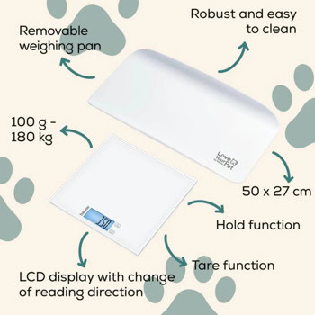 Beurer PP 170 Polly 10537_BEU