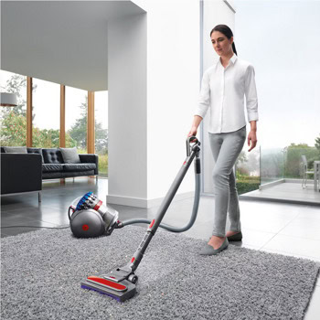 Dyson Big Ball Absolute 2 447250-01