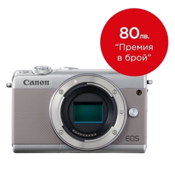 Canon EOS M100 Body Grey