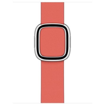 Apple 40mm Pink Citrus Modern Buckle - Small MY602