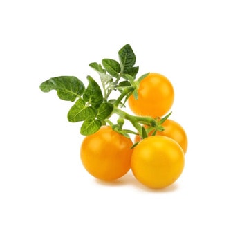 семена click and grow жълт домат 3 броя