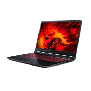 Acer Nitro 5 AN515-55