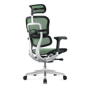 Antares ERGOHUMAN 2 LUXURY Green