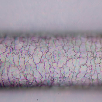 MAGUS Pol D800 LV83040