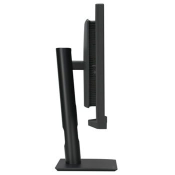 Asus ProArt PA24US