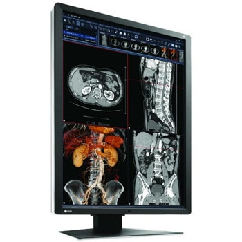 EIZO RadiForce RX250