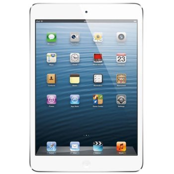 7.9" (20.07 cm) Apple iPad mini