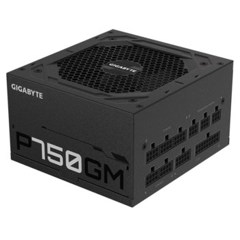 Gigabyte GP-P750GM
