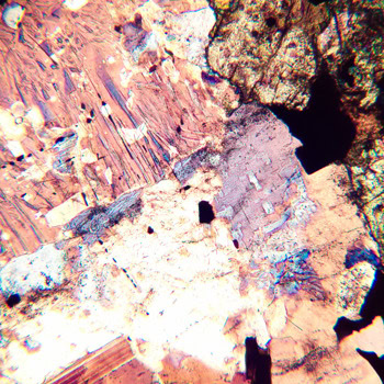 MAGUS Pol D800 LCD LV83041