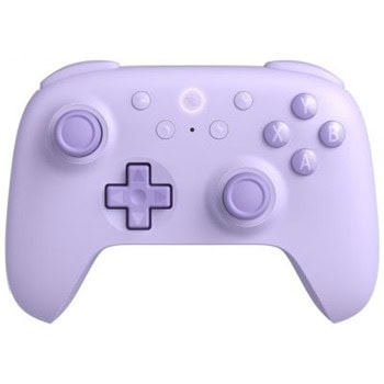 8bitdo ultimate 2c purple