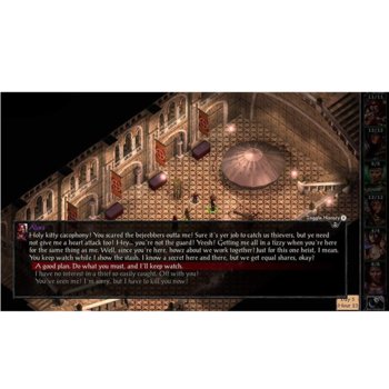 Baldurs Gate I and II: Enhanced Edition Switch
