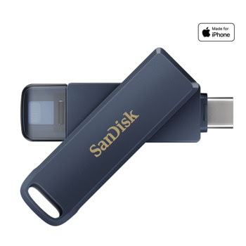 SanDisk SDIXD0N-256G-GN6NE