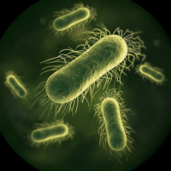 подочистачка dyson washg1 wr03 мед