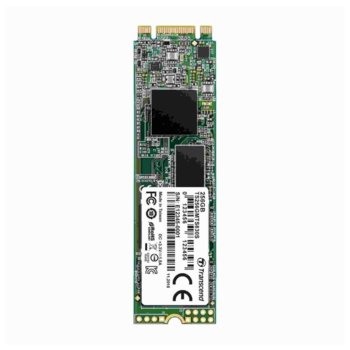 Памет SSD 256GB Transcend 830S, SATA III 6Gb/s, M.2 (2280), скорост на четене 560 MB/s, скорост на запис 520 MB/s | JAR Computers SSD Transcend 830S 256GB TS256GMTS830S