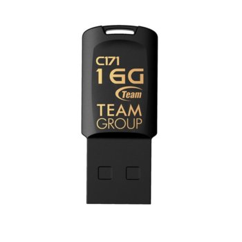 16GB Team Group C171 Black TC17116GB01