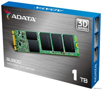 Adata SU800 1TB, M.2 2280 SSD, SATA3, TLC