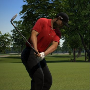 Tiger Woods PGA Tour 13 - Move