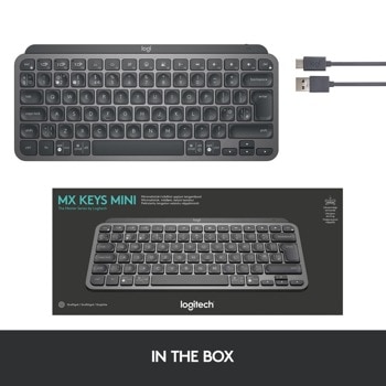 Logitech MX Keys Mini 920-010498