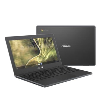 Asus Chromebook C204MA-BU0220