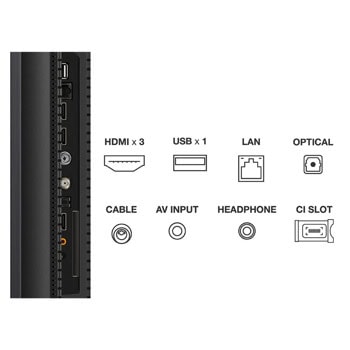 TCL 65C809 Bundle