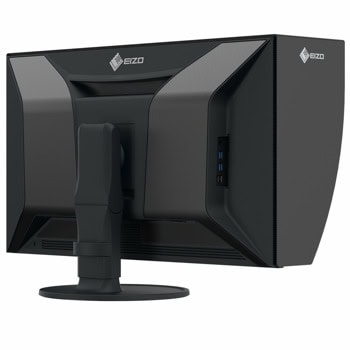 EIZO CG3100X