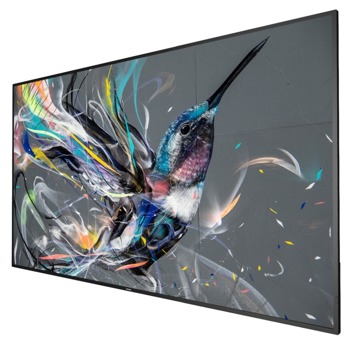 Публичен дисплей Philips 65BDL3511Q/00, 65" (165.10 cm) 4K/UHD, HDMI, DVI, USB, LAN | JAR Computers Philips 65BDL3511Q/00