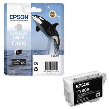 Epson C13T76094010 Light Black