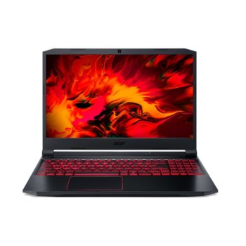 Acer Nitro 5 AN515-55