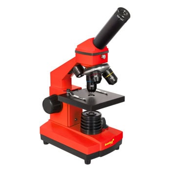 Levenhuk Rainbow 2L PLUS Red LV69121