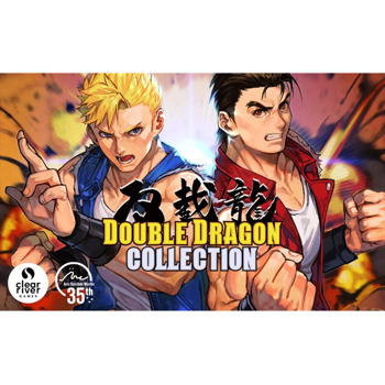 Double Dragon Collection Nintendo Switch