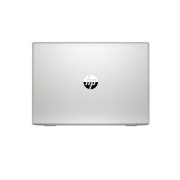 HP ProBook 450 G6 (7DE03EA)