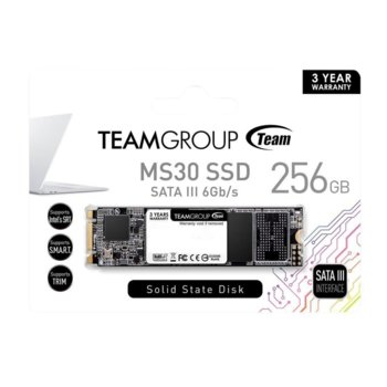 TeamGroup MS30TM8PS7256G0C101