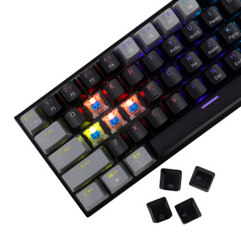 white shark wakizashi 2 blue switches black gray