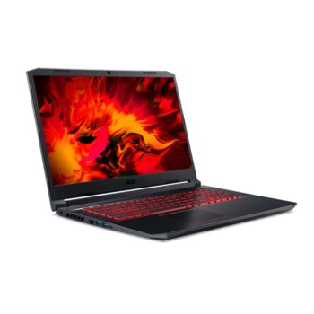 Acer Nitro 5 AN515-55