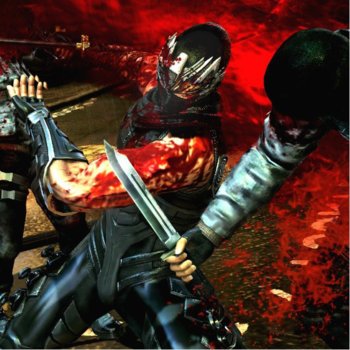 Ninja Gaiden 3 - Collector's Edition