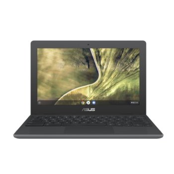 Asus Chromebook C204MA-BU0220