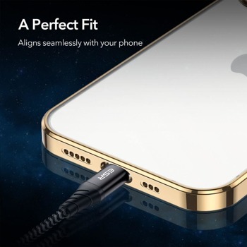 ESR Project Zero Case ESR423GLD