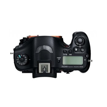 Sony A99