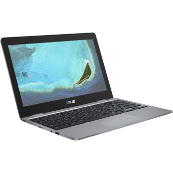 Asus ChromeBook C223NA-GJ0055